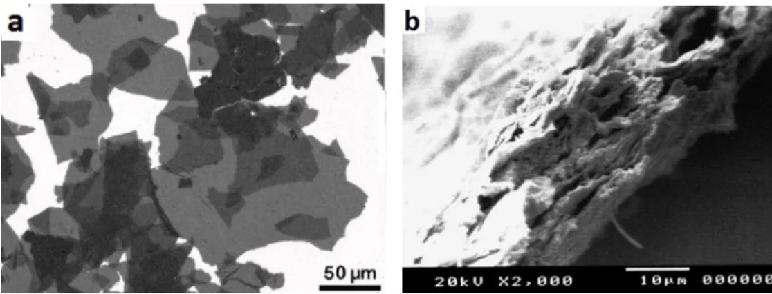 Figure 1.39: Feuillets de GO d´ epos´ es par drop casting sur Si/SiO 2 (a). [48], film de GO autosupport´ e, vue en coupe (b) [63].