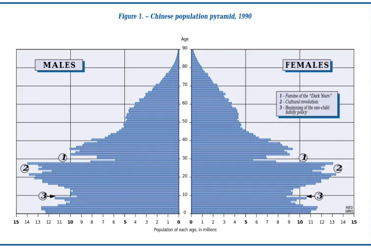 Figure 1. – Chinese population pyramid, 1990