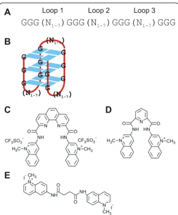 Figure 1 Quadruplex sequences and bisquinolinium compounds: A) Potential Quadruplex-forming sequence containing four G-tracts and variable loops 1-3
