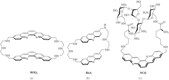 Figure 13: Chemical formulae of nonplanar macrocyclic G-quadruplex ligands: BOQ 1 (a), BisA (b), and the neomycin-capped scaﬀold NCQ (c).