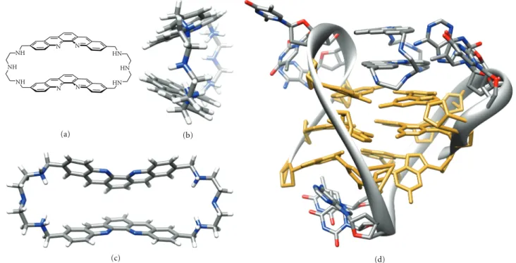 Figure 14: Structure of BOQ 1 (a), side (b), and front views (c) of the lowest-energy conformation during the molecular dynamic simulation (see [39]) and modelled interaction between BOQ 1 and the human telomeric quadruplex ((d), see [205]); guanine residu