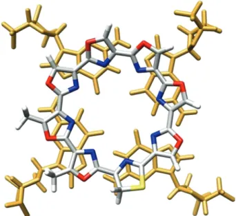 Figure 3: Qualitative in silico superposition of telomestatin and a G-tetrad (extracted from PDB entry: 2A5R); guanine residues appear in gold; the carbon, nitrogen, oxygen, sulphur, and hydrogen atoms of telomestatin appear in grey, blue, red, yellow, and