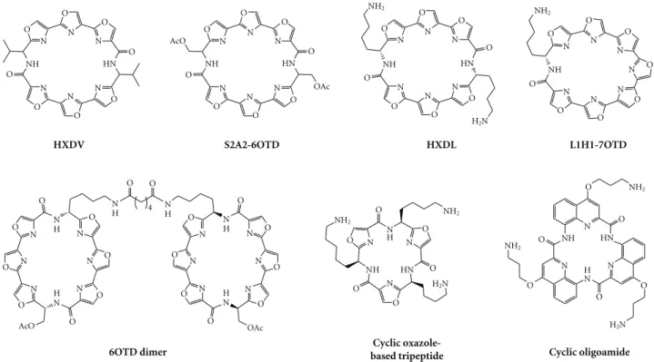 Figure 4: Chemical formulae of telomestatin-related macrocycles.