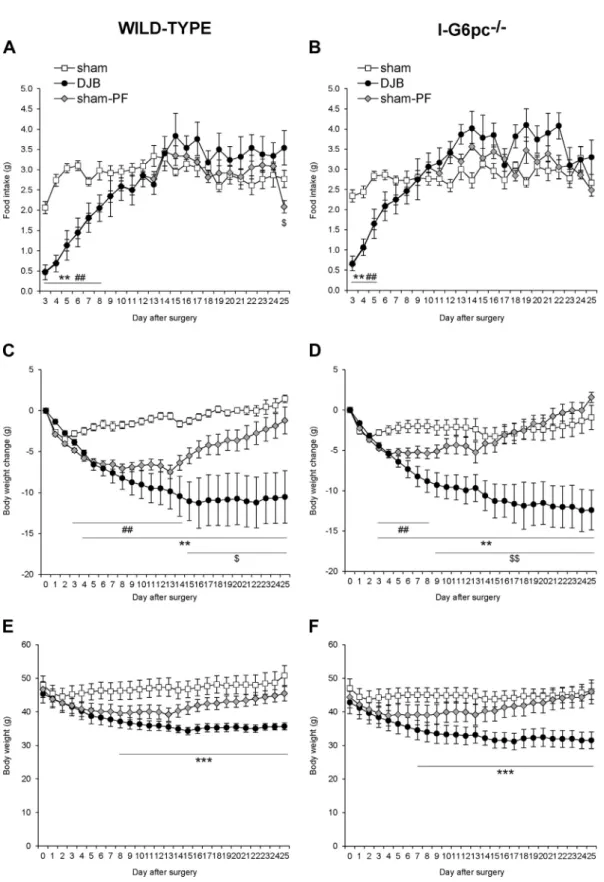 Figure 1: Effects of duodenal-jejunal bypass on food intake and body weight in obese mice