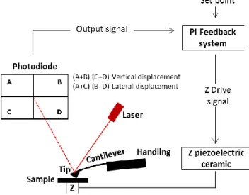 Figure II.4 shows the schematic of the AFM general principle used by all operation modes