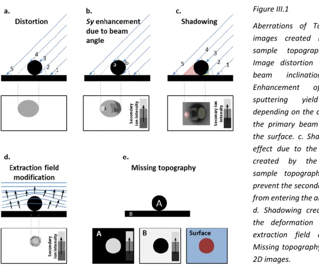 Figure  III.2  shows  the  distortion  of  the  3D  visualization  and  depth-profiles  created  by  stacking 2D images that do not include the topographical information
