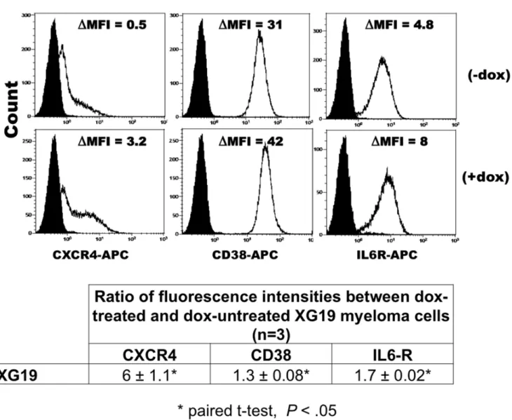 Figure 7. DEPDC1A knockdown increases expression of markers of mature plasma cells in myeloma cell lines