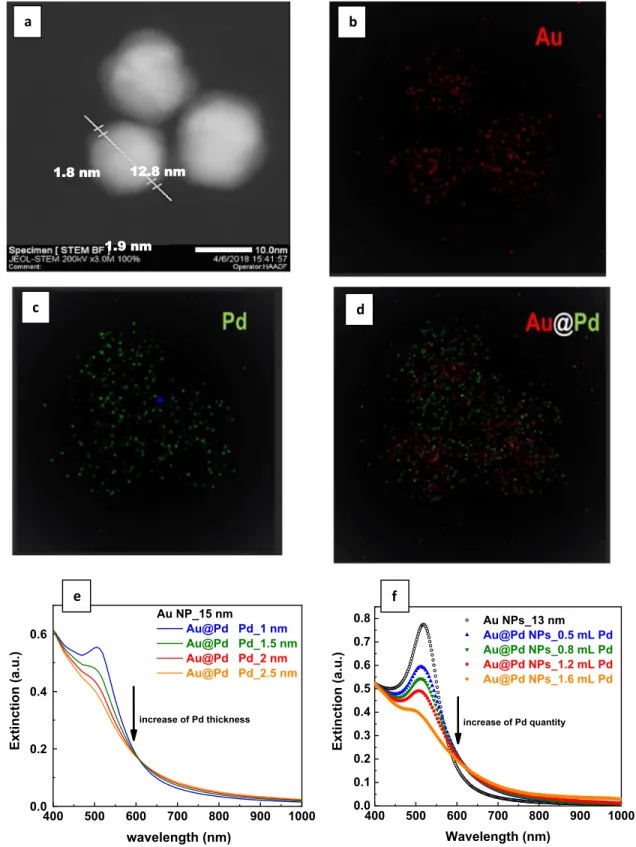FIG. 1. TEM and optical characterizations of Au and Au–Pd NP solutions. (a) STEM-HAADF image of the prepared Au–Pd core–shell NPs with an Au core of ∼13 nm diameter and a Pd shell of ∼2 nm