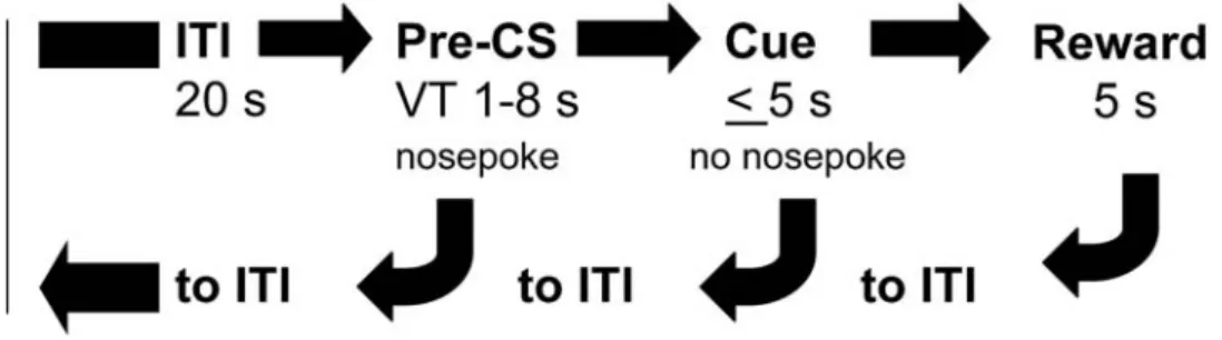 Figure 1. The progression of each trial during phase 4 of the signaled nose poke task