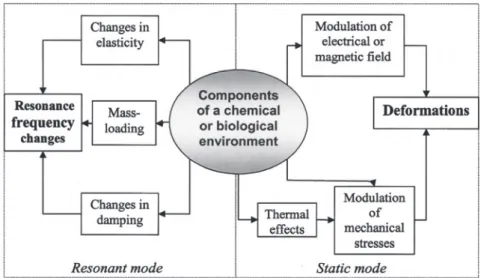 Figure 4: Conversion of input stimuli into output signals by cantilever  transducers is associated with a number of transduction mechanisms