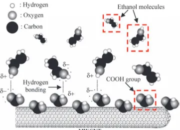 Figure 20 : Interaction COOH groups of the CNTs wall and ethanol molecules  [15] 