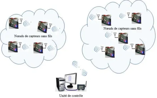 Figure I-1: Illustration d'architecture de réseau de capteurs sans fil 