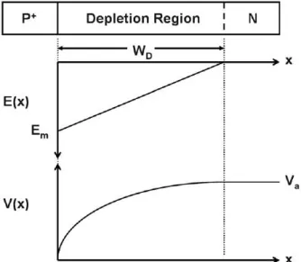 Figure 1.9  Electric eld and potential distribution for an abrupt parallel-plane P + -N junction [21].