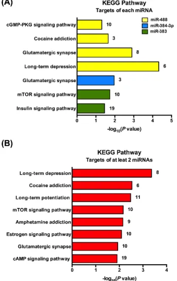 Figure 4. Kyoto Encyclopedia of Genes and Genomes (KEGG) pathway analysis associated with  predicted target genes of the 3 miRNAs of interest