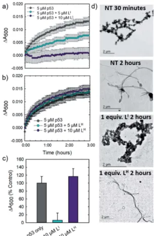 Fig. 3 Amyloid oligomer (A11) staining is reduced in mutant p53 cell line NUGC3 after treatment with L I 