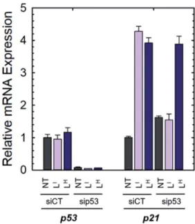 Fig. 8 L I results in increased activation of apoptosis over L H in mutant p53 cells. NUGC3 cells were treated with 25 m M of indicated compound for 24 hours