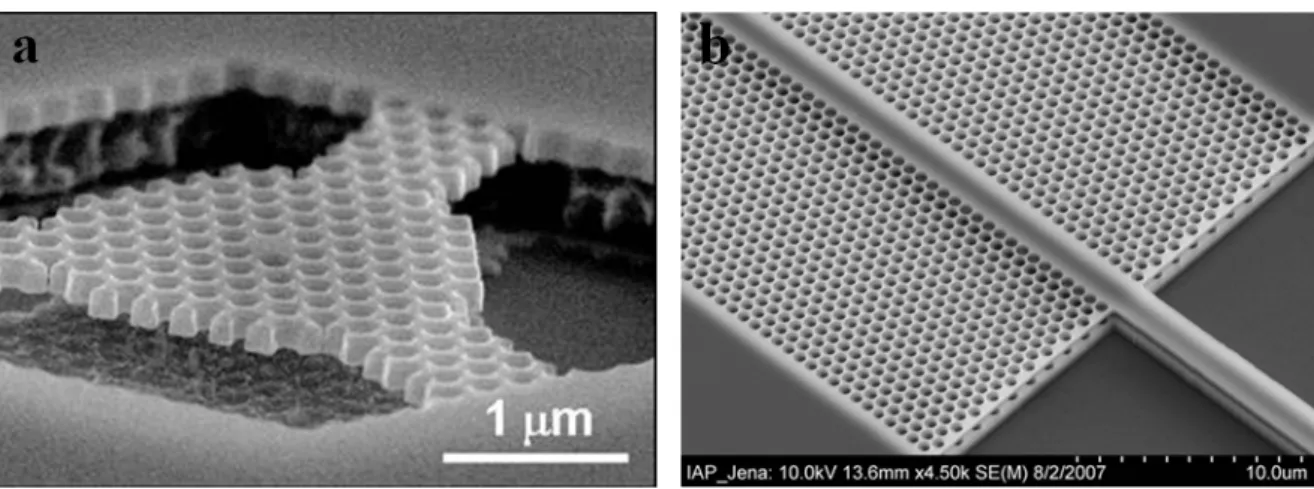 Figure 2.1 : a. Image MEB d’une microcavité formée dans une membrane de GaAs de 180 nm d’épaisseur