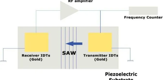 Figure 2.4 - Schematic diagram of a SAW sensor. 