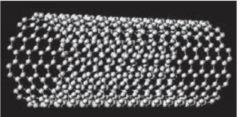 Figure 2.7 - A single-walled nanotube structure. 