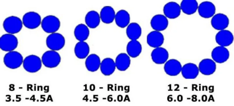 Figure 2.14 - Structure of different typical Zeolite windows with 8, 10 and 12-ring of TO4 units