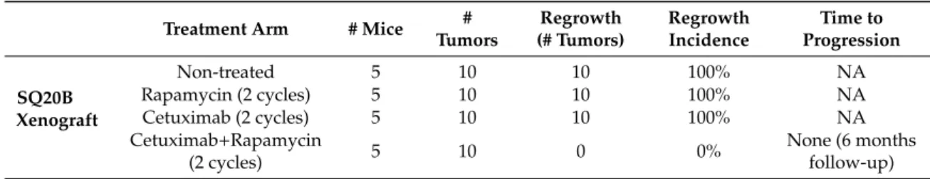Table 1. Cetuximab and rapamycin co-treatment prevents tumor relapse in nude mice bearing SQ20B xenografts