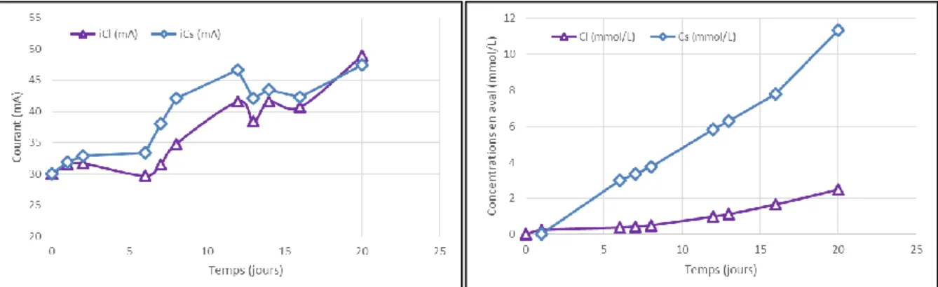 Figure 25 - CEMV sain : Evolution [a] du courant et [b] des concentrations des traceurs en aval 