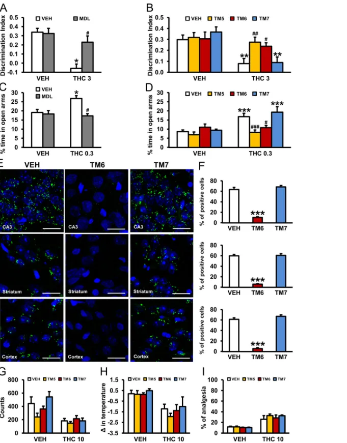 Fig 10. Prevention of THC-induced amnesic and anxiolytic-like effects by pharmacological blockade of 5-HT 2A R or by CB 1 R-5-HT 2A R heteromer disruption with TM interference peptides