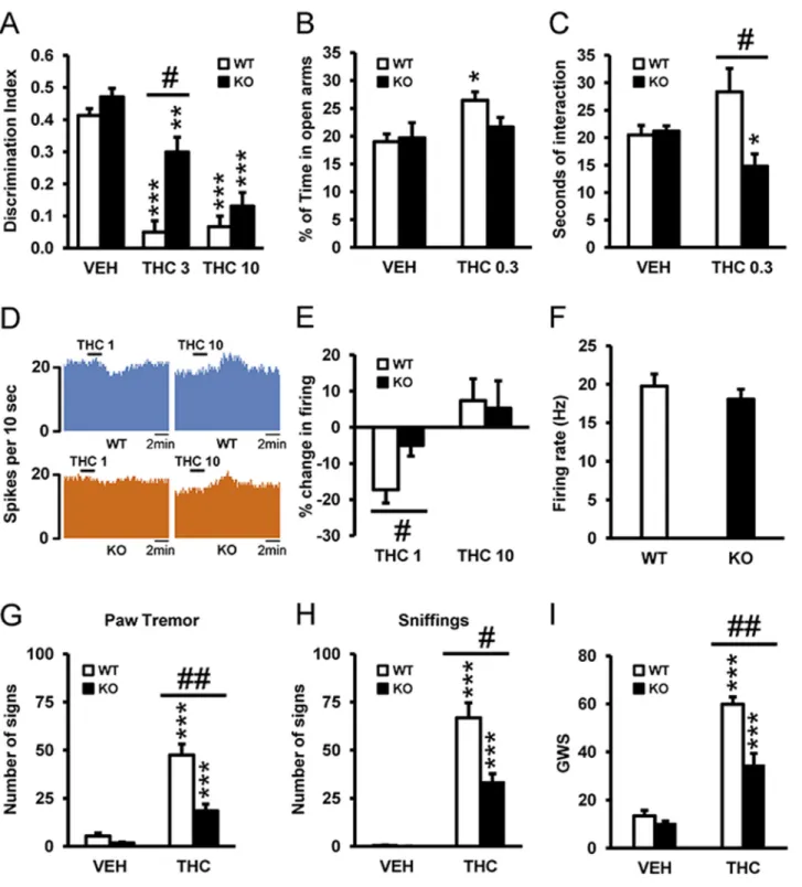 Fig 1. 5-HT 2A R mediates THC-induced amnesic- and anxiolytic-like effects. (A) The administration of THC (3 and 10 mg/kg) induced memory