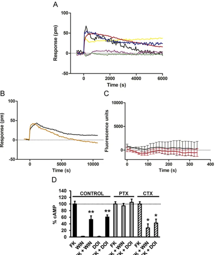 Fig 3. CB 1 R and 5-HT 2A R are associated to Gi signaling when coexpressed. HEK-293Tcells expressing CB 1 R and 5-HT 2A R receptors were used