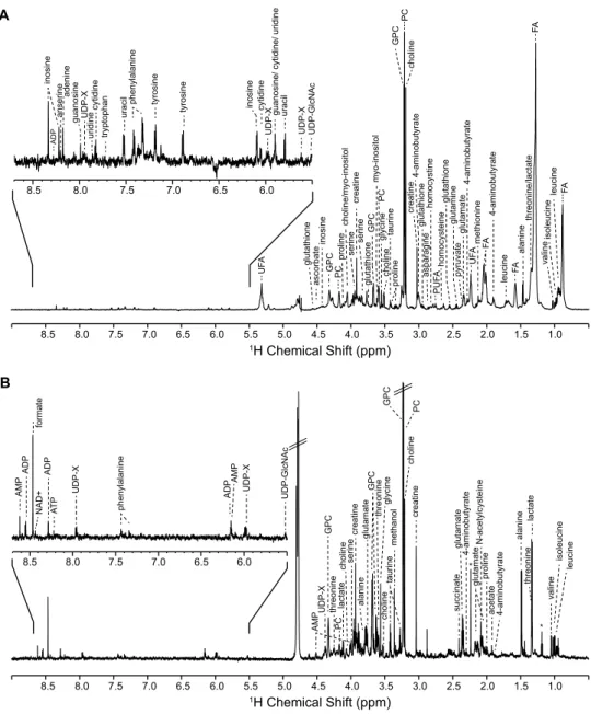 Figure 1. Representative  1 H NMR metabolic fingerprints of CGR8 ESCs, as recorded (A) for whole cells by HR- HR-MAS spectroscopy, and (B) for aqueous extracts by conventional solution NMR