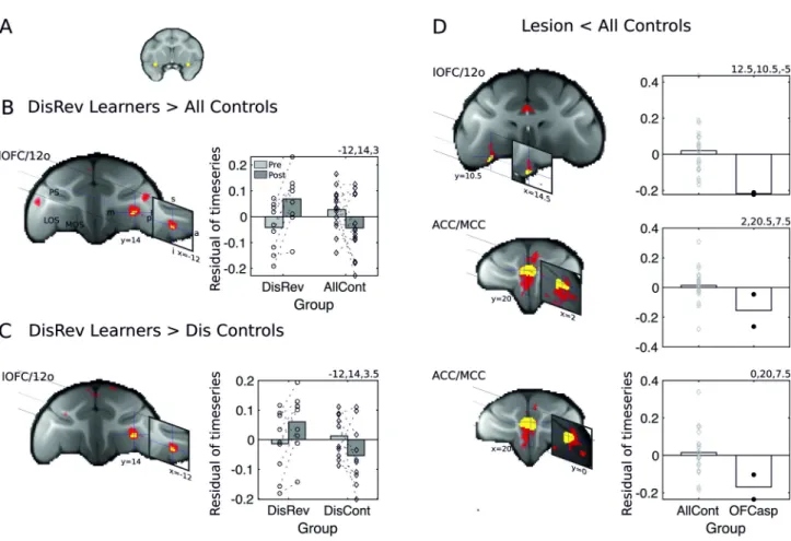 Table 1 summarizes the DBM results (experiments 1 and 2) and resting-state fMRI results (experiments 3 and 4) from the learning (experiments 1 and 3) and lesion (experiments 2 and 4) investigations.