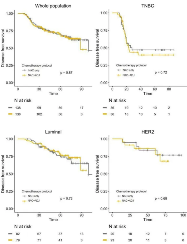 Fig 4. DFS curves in NAC only and NAC+ADJ groups for whole population and by pathological subtype (TNBC, luminal, and HER2-positive tumors), after PS matching.