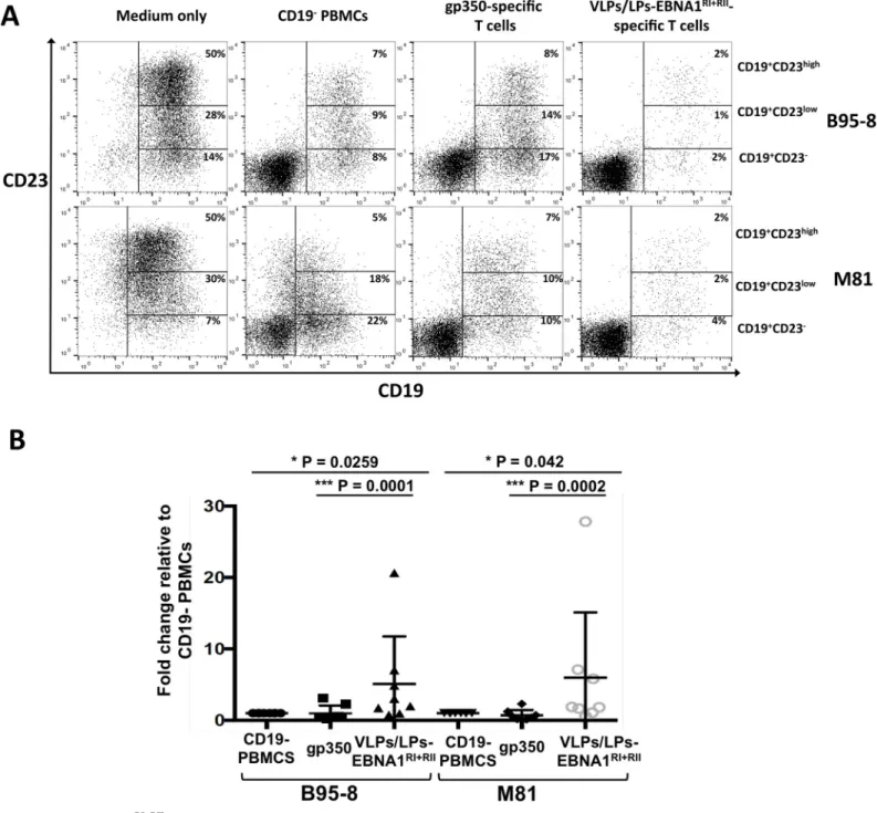 Fig 4. VLPs/LPs-EBNA1 RI+RII -specific T cells prevent the outgrowth of B95-8- and M81-infected B cells