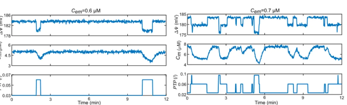 Figure 6.  Stochastic opening of the mPTP. Time series of the evolution of  ∆Ψ ,  C m  and PTP for different C em ,  obtained by simulations of a stochastic version of the model