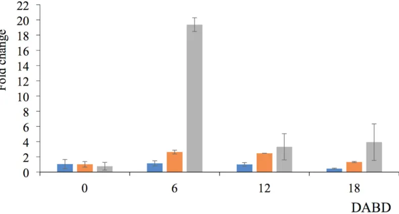 Fig 12. Fluorescence of P. putida KT2440 tagged with GFP desiccated for 18 days. (A) Cells before desiccation and (B) 3, (C) 6, (D) 9, (E) 12, (F) 15, and (G) 18 DABD