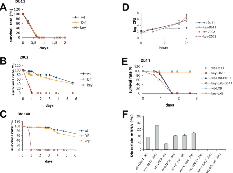 Figure 1. S. marcescens Is Resistant to the Humoral Immune Response in the Septic Injury Model