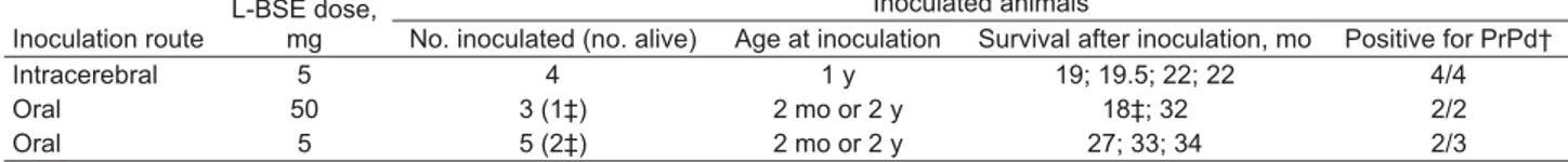 Figure 1. Western blot analysis of protease-resistant prion protein  in the brain (thalamus/hypothalamus) and spleen of mouse  lemurs inoculated with a cattle-derived L-type bovine spongiform  encephalopathy (BSE) isolate by oral and intracerebral routes b