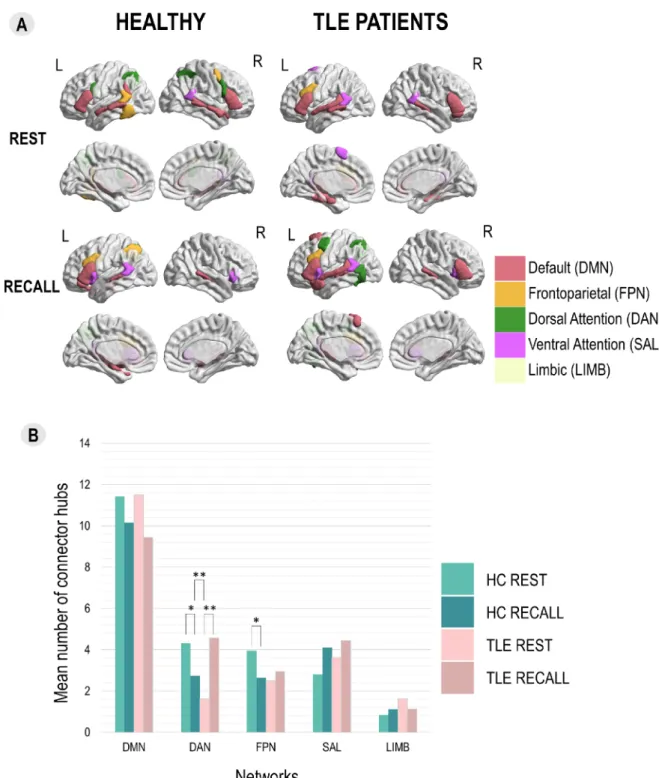 Fig. 3. The integration of LMN assessed via distribution of connector hubs between groups and tasks