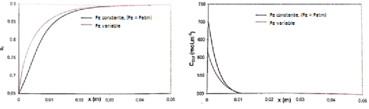 Figure 1. 7 Influences de la pression de gaz sur le degré de saturation et la concentration en  ions chlorures 