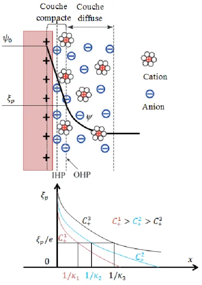 Figure 2. 7 Évolution du potentiel électrique dans une section du pore 