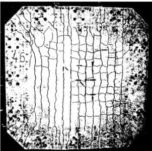 Figure 1.9: Cracking distribution of a slab under bending and in plane loading in the two directions [Pascu, 1995].