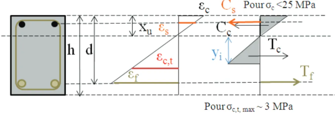 Figure 5.13 – Forces s’exerçant sur la section centrale d’une poutre en phase 2 