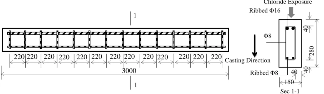 Figure I- 2 plan de ferraillage des poutres de type A. Toutes les dimensions sont en mm 