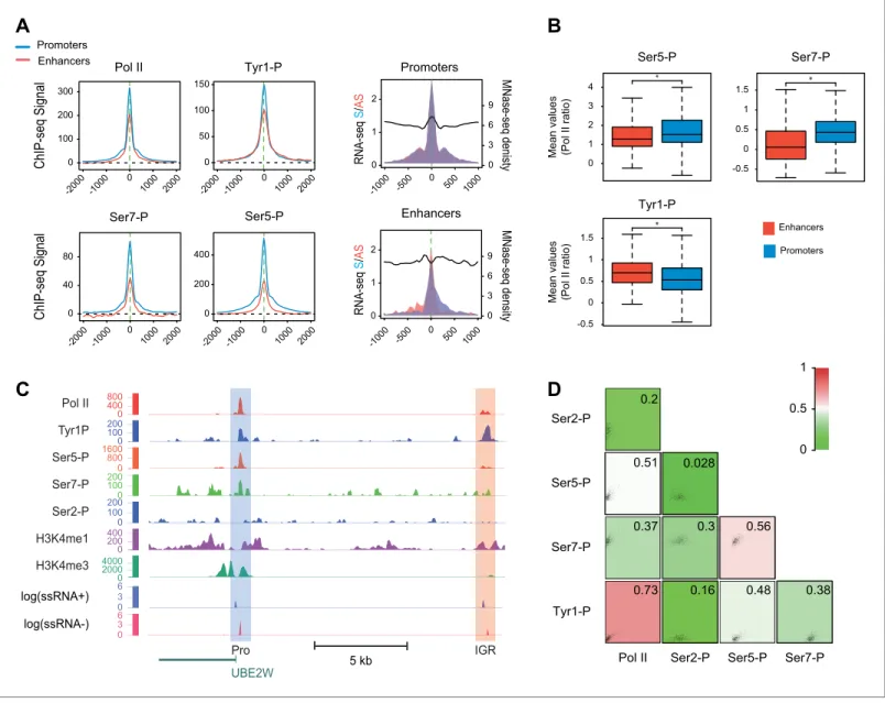 Figure supplement 1. Pol II-bound enhancer selection procedure and features. 