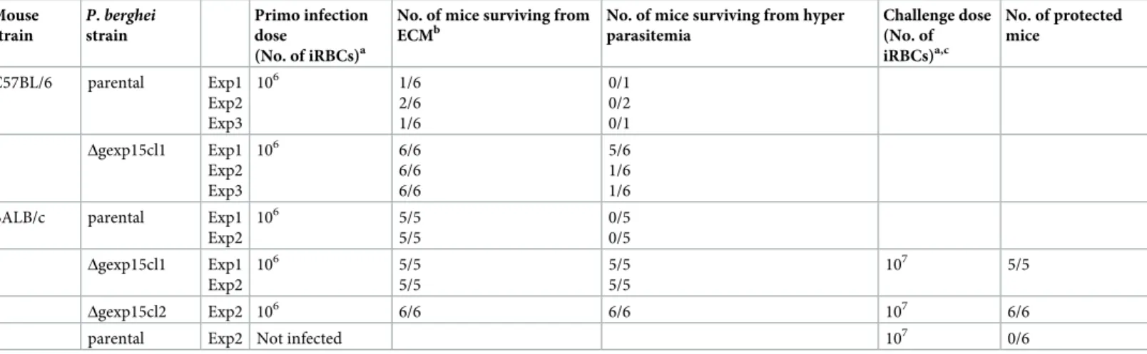 Table 1. Time course of parental and Δgexp15 parasites infection in C57BL/6 and BALB/c mice and protection of BALB/c mice challenged with parental parasites.