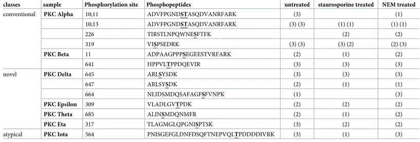 Table 4. Phospho-sites of hsPKC endogenously expressed in stably transfected HEK rnKCC2b cells