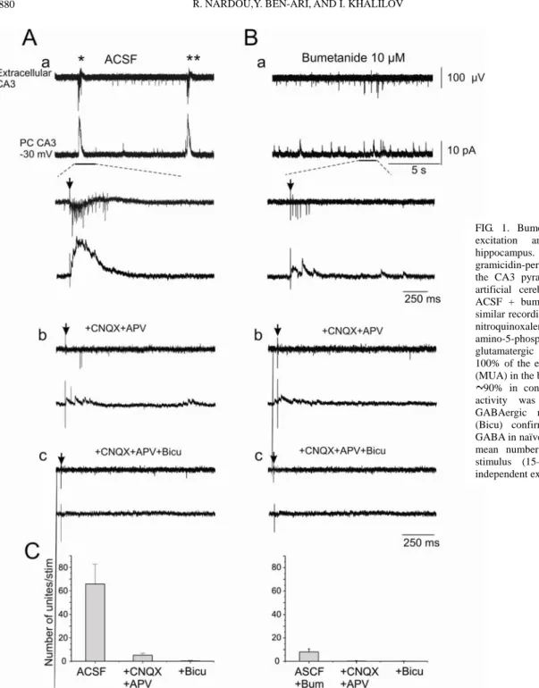 FIG. 1. Bumetanide blocks GABA-mediated  excitation and GDPs in neonatal rat  hippocampus