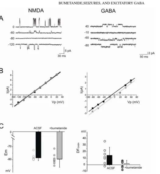 FIG. 2. Bumetanide strongly reduces the  depolarizing driving force of GABA-mediated  currents (DF GABA )