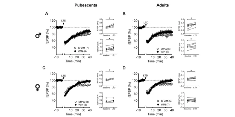 FIGURE 5 | Sex-specific effects of a single in vivo cannabinoid exposure on prefrontal cortex (PFC) endogenous cannabinoid (eCB)-long-term depression (LTD).