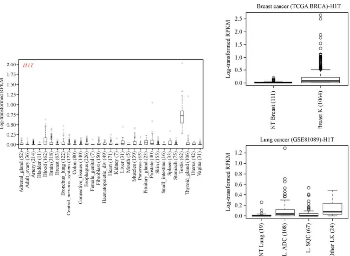 Fig. 3 Aberrant activation of testis-speciﬁc H1T in various cancers. Expression of H1T gene in normal (left panel) and tumour (right panels) samples from RNA-seq data, provided by the GTEx [56], TCGA-BRCA [57] and NCBI GEO GSE81089 [58] datasets